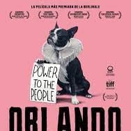 Foto Orlando, mi biografía política