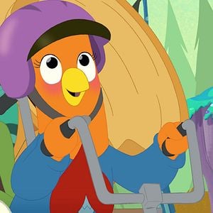 Foto ¡No interrumpas, gallinita!