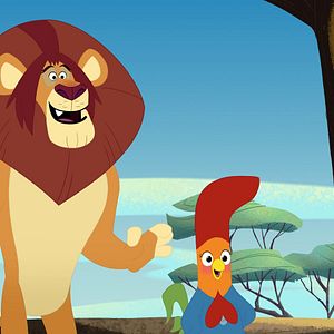 Foto ¡No interrumpas, gallinita!