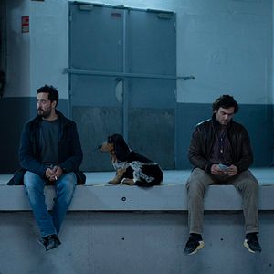 Foto A Difficult Year