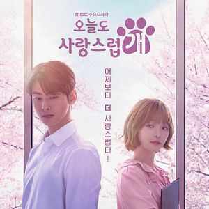 Foto A Good Day to Be a Dog