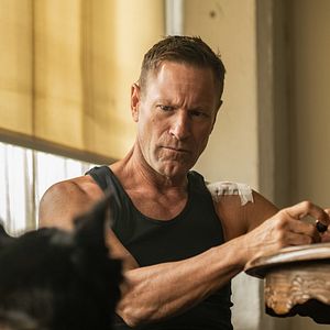 Foto Perro guardián