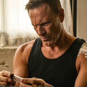 Foto Perro guardián