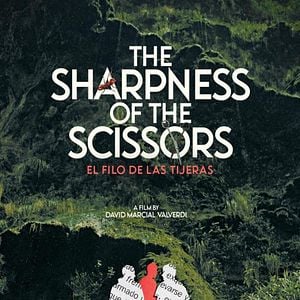 Foto El filo de las tijeras
