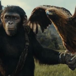 Foto El Planeta de los Simios: Nuevo Reino