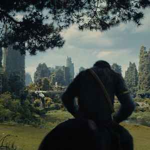 Foto El Planeta de los Simios: Nuevo Reino