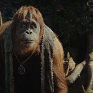 Foto El Planeta de los Simios: Nuevo Reino