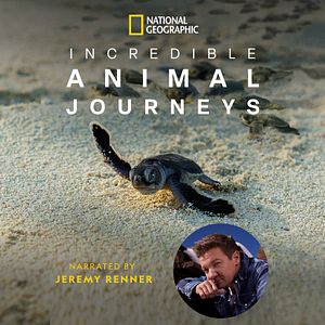 Foto Animales viajeros