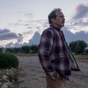 Foto Daniel Giménez Cacho