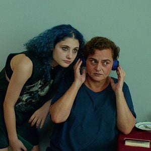 Foto Blackbird Blackbird Blackberry