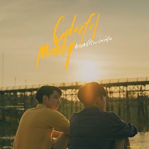 Foto Colorful Melody