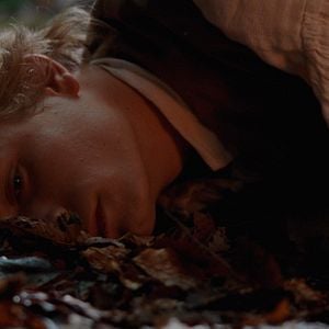 Foto Pacto con lobos