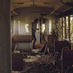 Foto Dog - Apocalypse