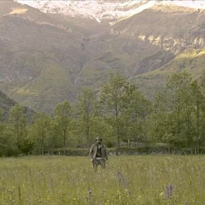 Foto Dog - Apocalypse