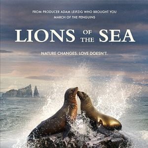Foto Lions Of The Sea