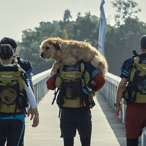 Foto Arthur: Una Amistad Sin Limites