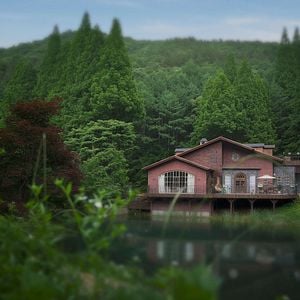 Foto Nadie en el bosque