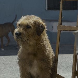 Foto Arthur: Una Amistad Sin Limites