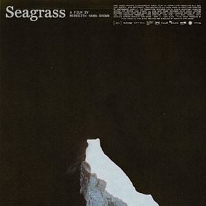 Foto Seagrass