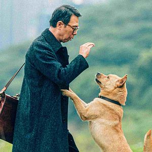 Foto Hachiko: Una historia verdadera