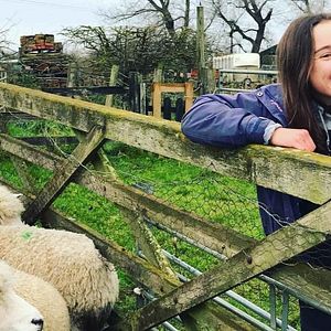 Foto Six Inches of Soil