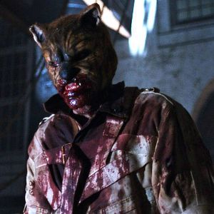 Foto Winnie Pooh: Miel Y Sangre. Parte 2.