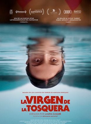 Cartel de  La Virgen de la tosquera