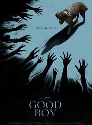 Cartel de  Good Boy: Confía en su instinto
