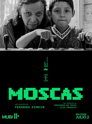 Moscas