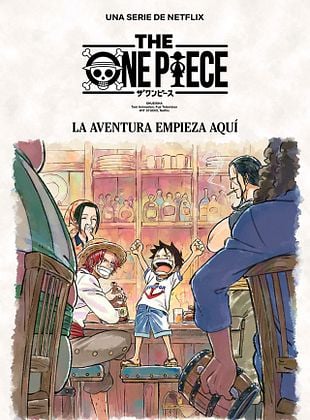 Cartel de The One Piece