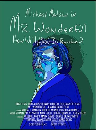 Cartel de  Mr. Wonderful