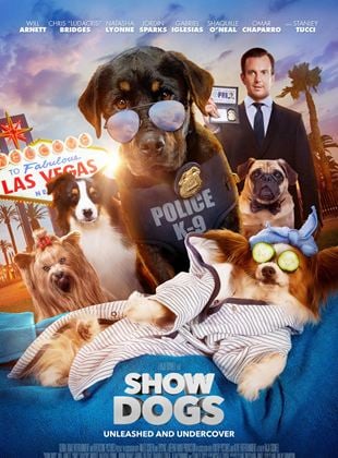  Show Dogs