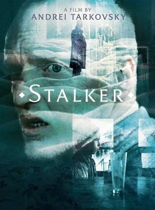 Stalker: La zona