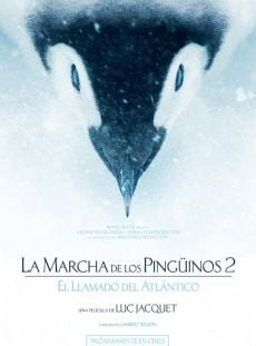  La marcha de los pingüinos 2