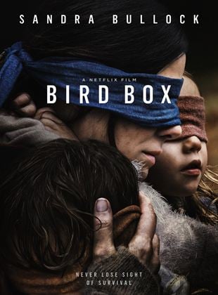  Bird Box: A ciegas