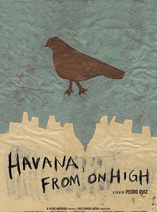  Havana, from on high