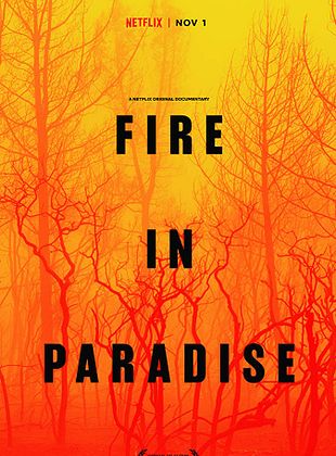 Paradise en llamas