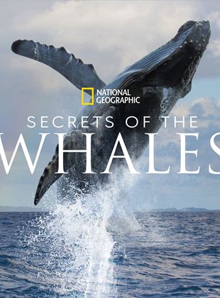 Secrets Of The Whales