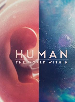 Cuerpo Humano: Un mundo entrañable