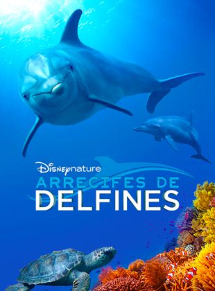 Arrecife de delfines