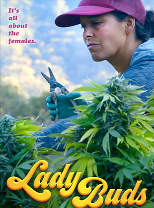 Cartel de  Lady Buds