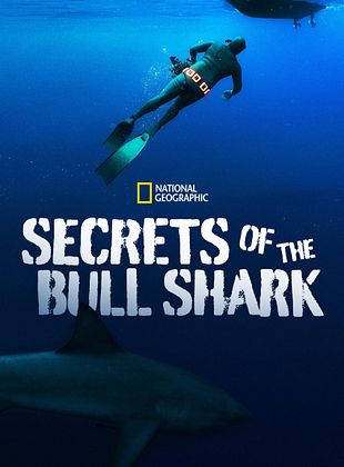 Cartel de Secrets of the Bull Shark