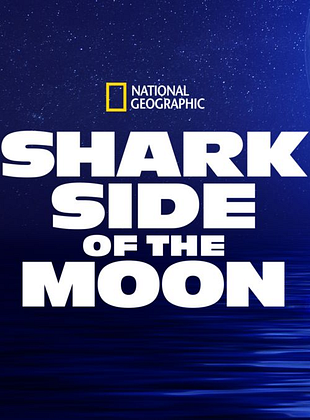 Cartel de Shark Side of the Moon