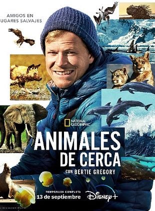 Cartel de Animales de cerca con Bertie Gregory