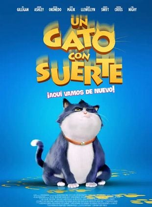  Un gato con suerte