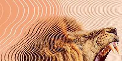 Cartel de Hunters and Hunted