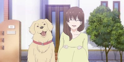 Cartel de Caminos entrelazados