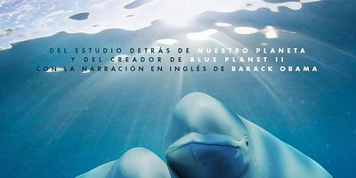 Cartel de Océano Pacífico 