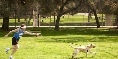 Cartel de La otra familia de Victor