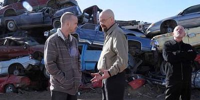 Cartel de Vive libre o muere